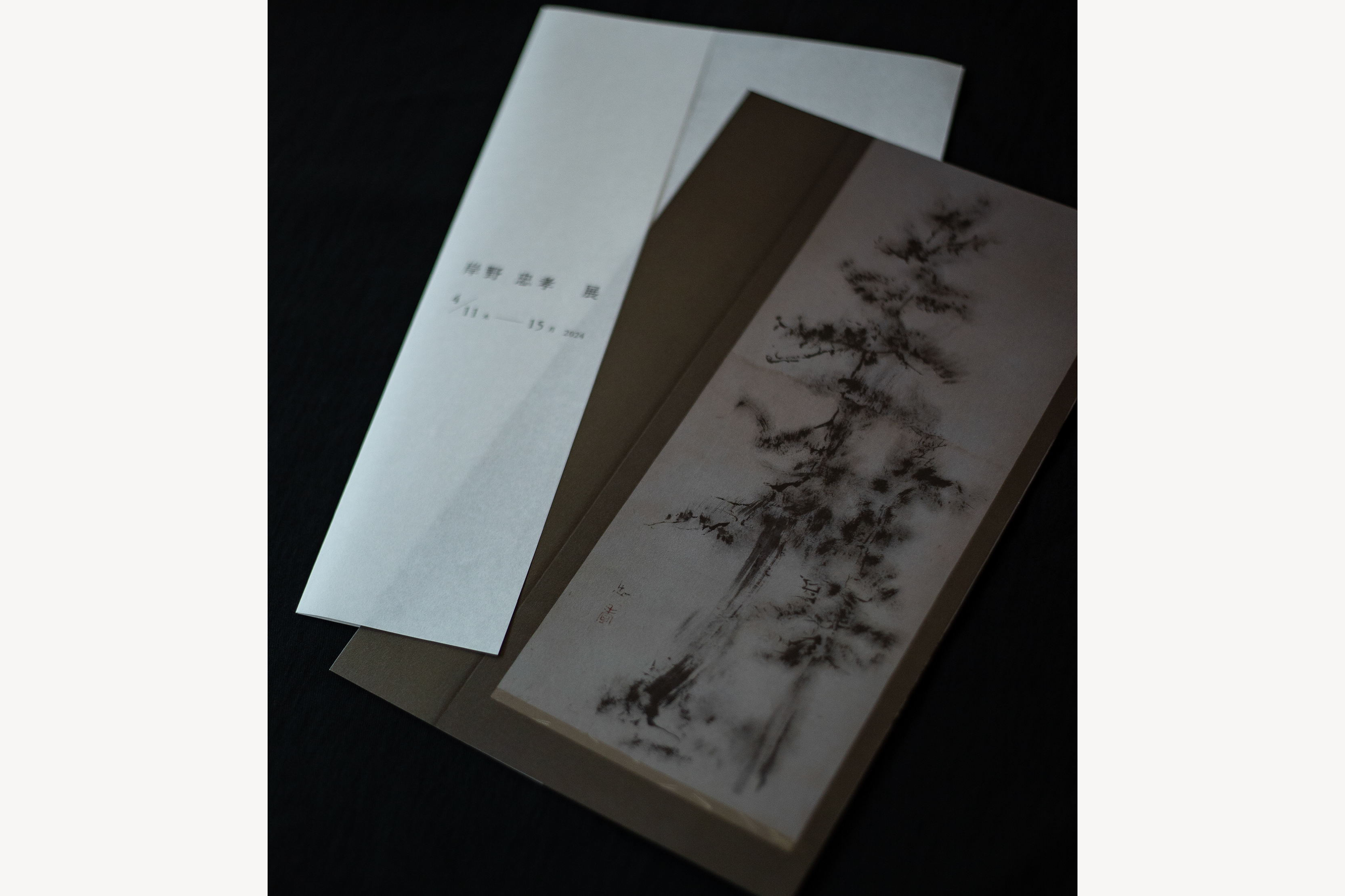 岸野 忠孝 展 DM