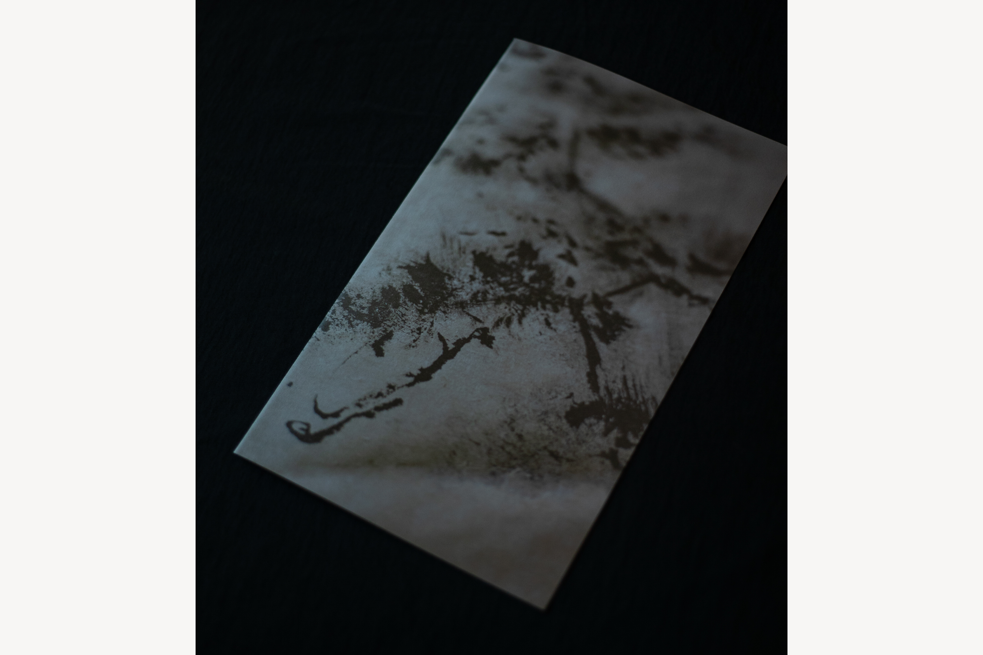岸野 忠孝 展 DM