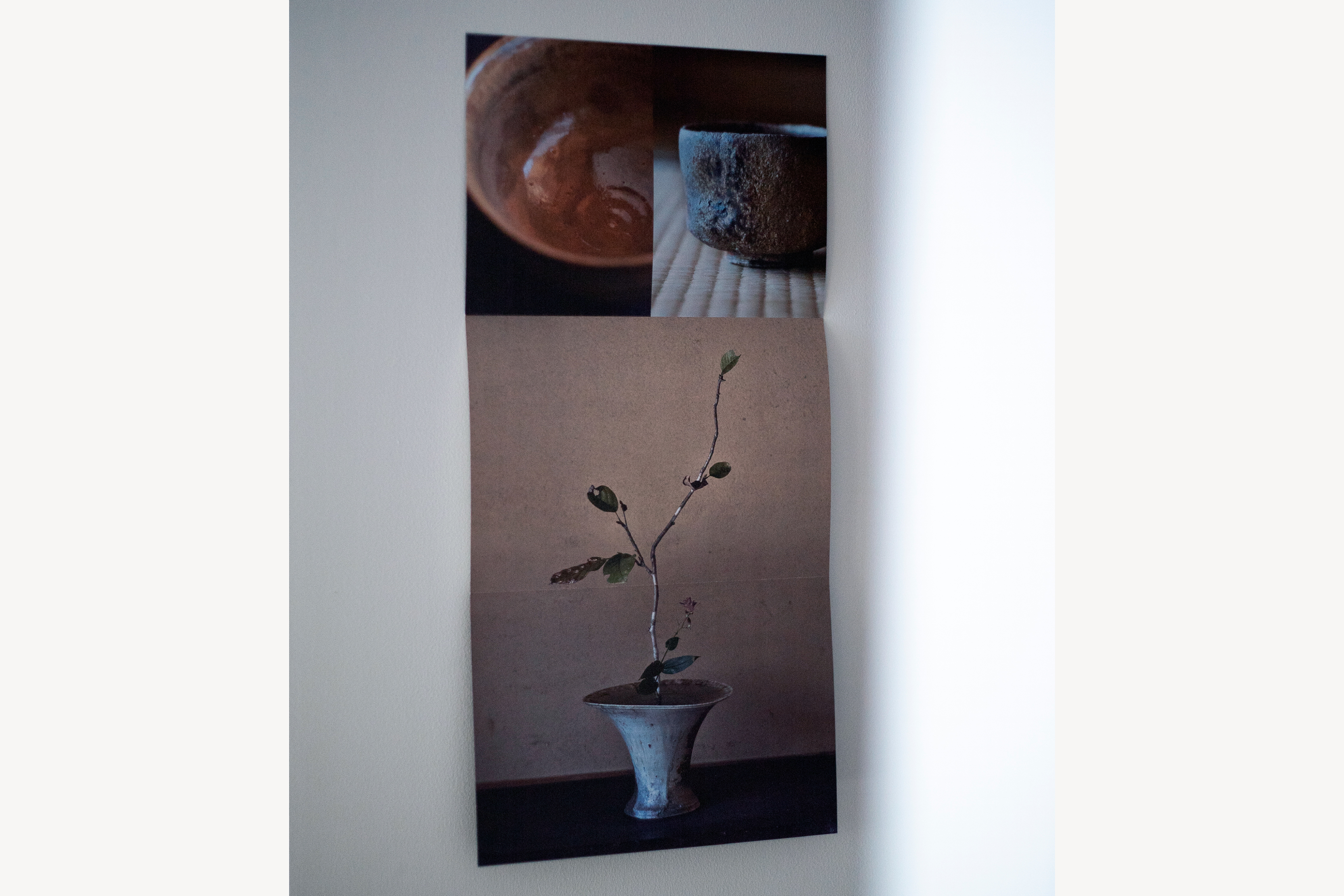 岸野 寛 陶展 _ DM LEAFLET