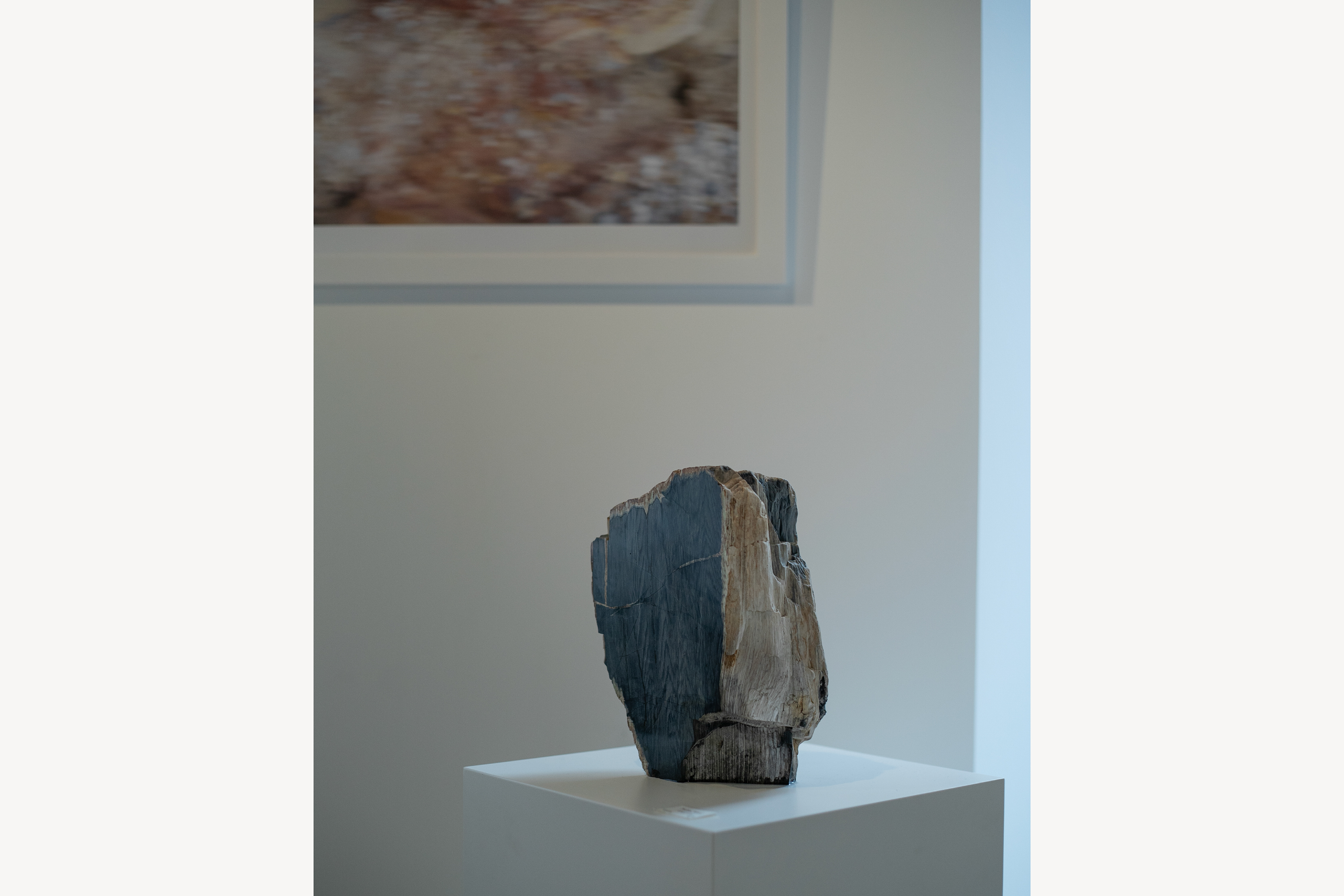 MIN GALLERY _ Formation — Process and Form — Exhibition_ GRAPHIC